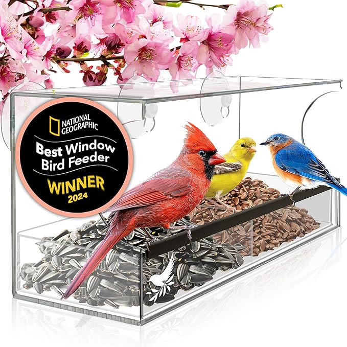 Window Bird Feeder by Nature's Hangout - Award-Winning Transparent Acrylic Bird Feeders for Outdo... | Amazon (US)