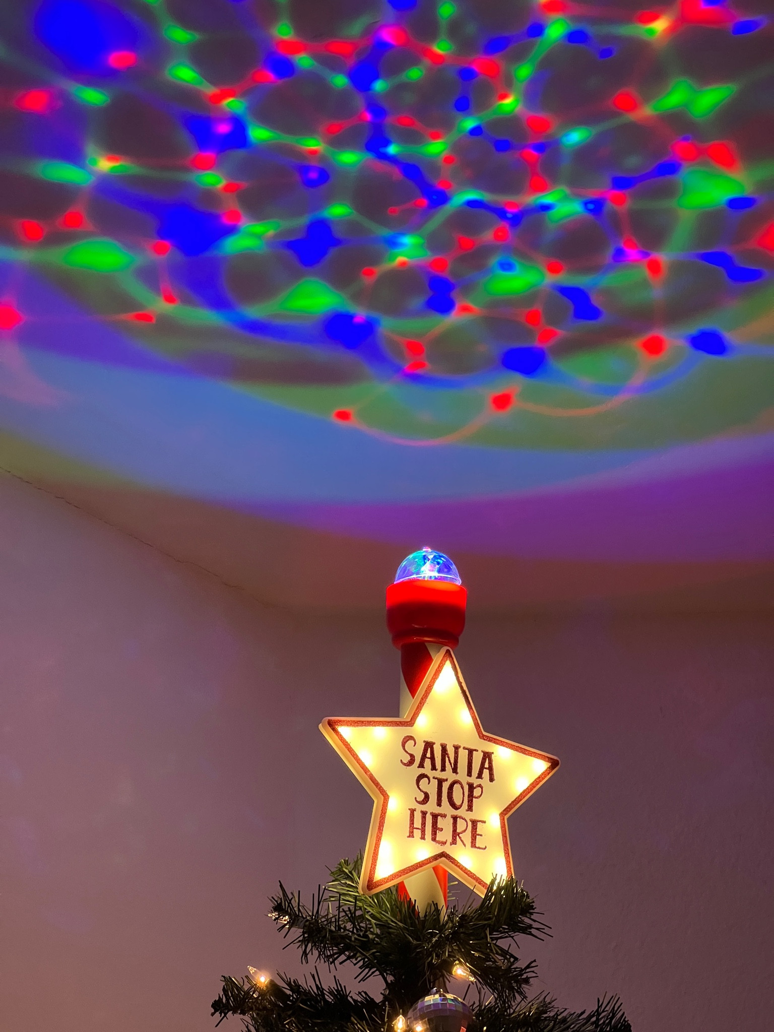 Got a fun tree topper for our first Christmas tree together! ♥️🎄

Ig: @jkyinthesky & @jillianybarra

#treetopper #target #christmas #targetholiday #targetchristmas #homedecor #holidaydecor 

#LTKHome #LTKHoliday #LTKSeasonal