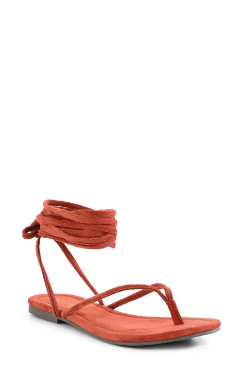 Seychelles Wander the World Ankle Strap Sandal in Mocha at Nordstrom, Size 6 | Nordstrom