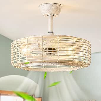 Boho Caged Ceiling Fans with Lights, 20 Inch White Rattan Fandelier Ceiling Fan with Lights and R... | Amazon (US)