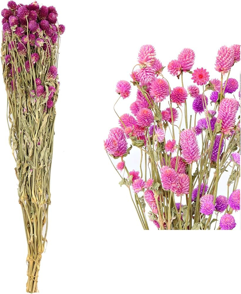 MIHUAGE Dried Flower White Globe Amaranth Dry Flower Bundles 100% Naturally for Home Decor Party ... | Amazon (US)