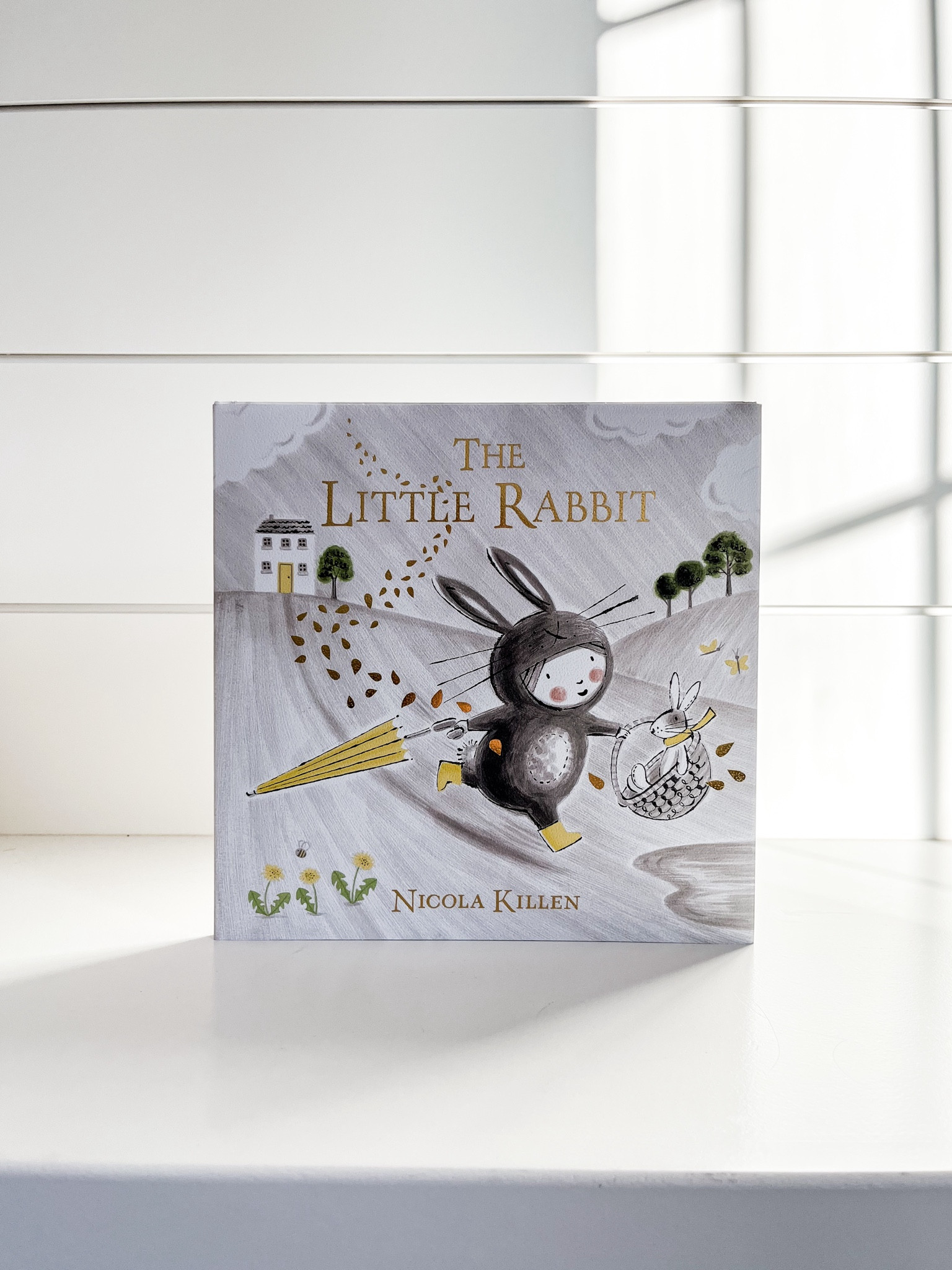 E A S T E R / “The Little Rabbit" such a cute story/Easter basket/shelf book

Amazon Canada | Gifts for Kids

#LTKkids #LTKSeasonal