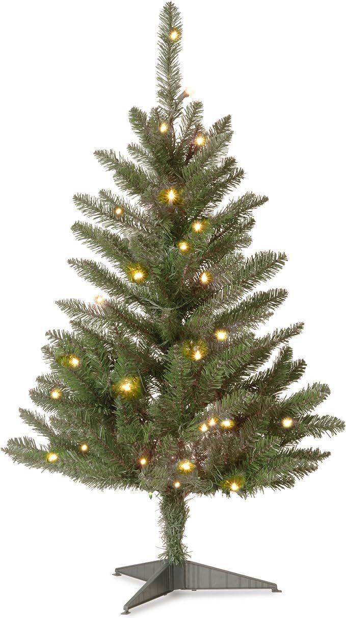 National Tree Company Artificial Mini Christmas Tree, Green, Kingswood Fir, Includes Stand, 3 Fee... | Amazon (US)
