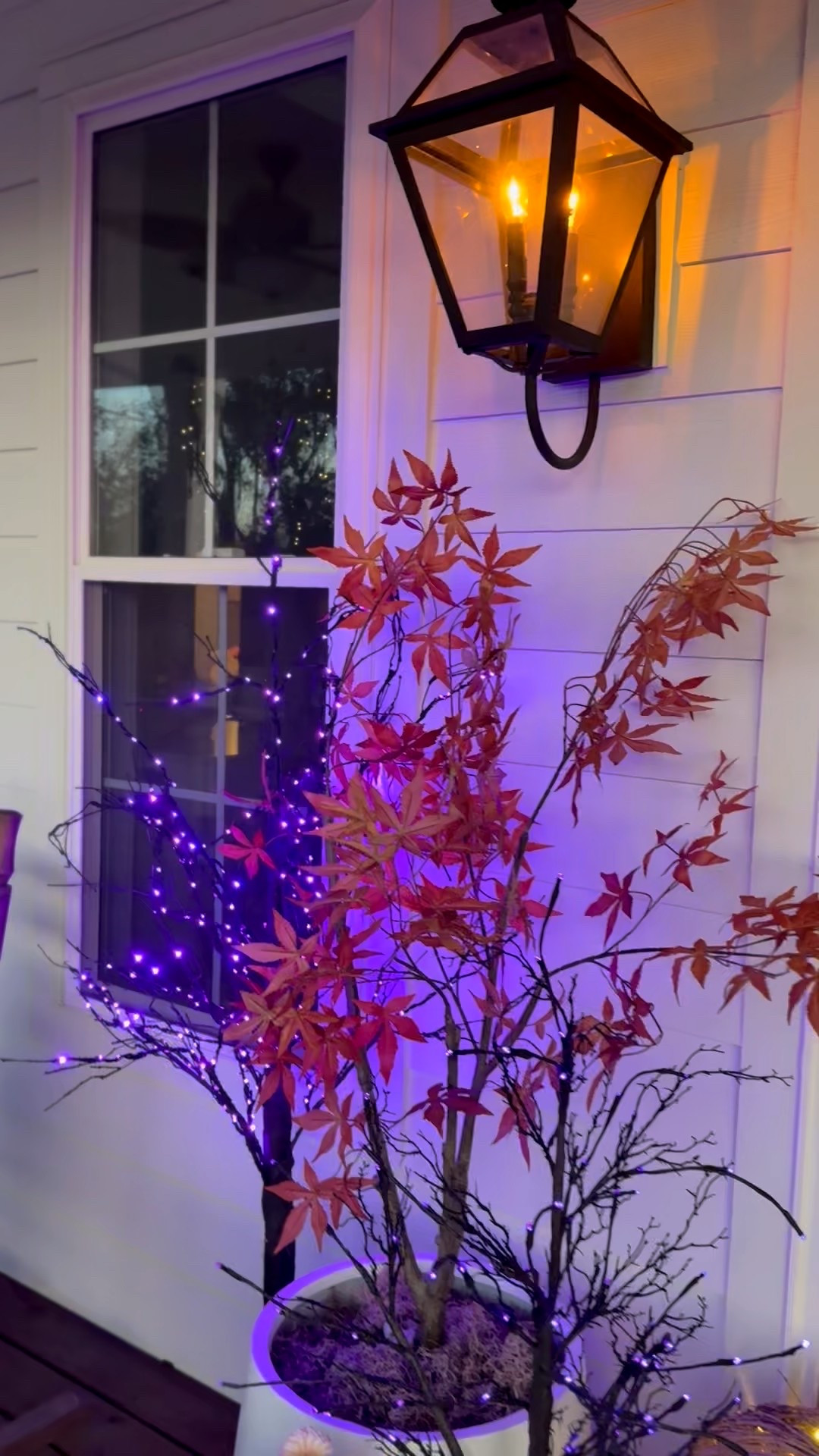 Trick or treat! My Halloween front porch is done! I kept everything I put out for fall and just added to it! My favorite part is probably my new doormat but I also love the light up trees! They can be orange or purple and are so fun! 


#LTKSeasonal #LTKHome #LTKHalloween