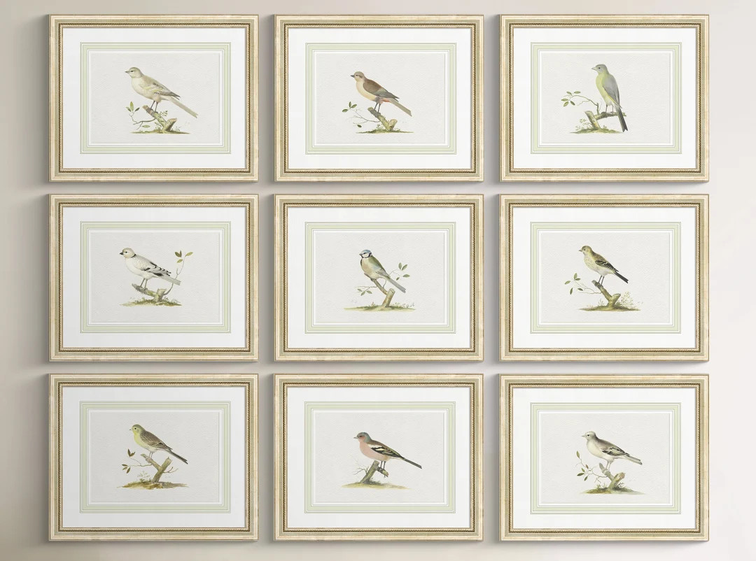 Framed Aviary: Set of 9 Antique Framed Watercolor Bird Art Prints, Archival Art Print on Imported... | Etsy (US)