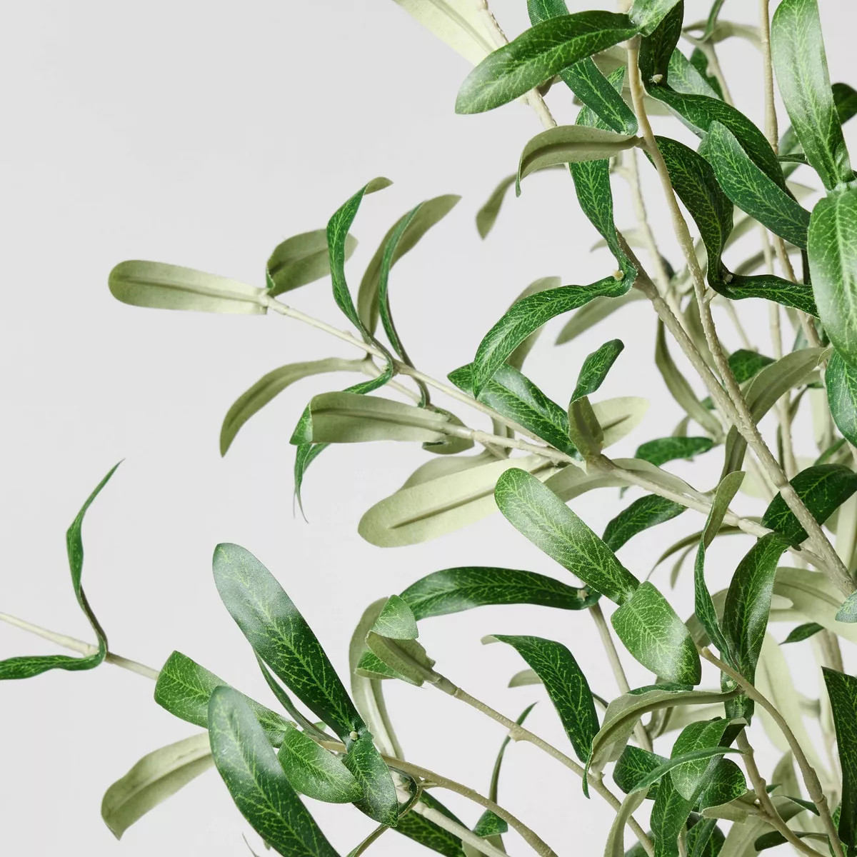 Olive Leaf Potted Arrangement - Threshold™ designed with Studio McGee | Target