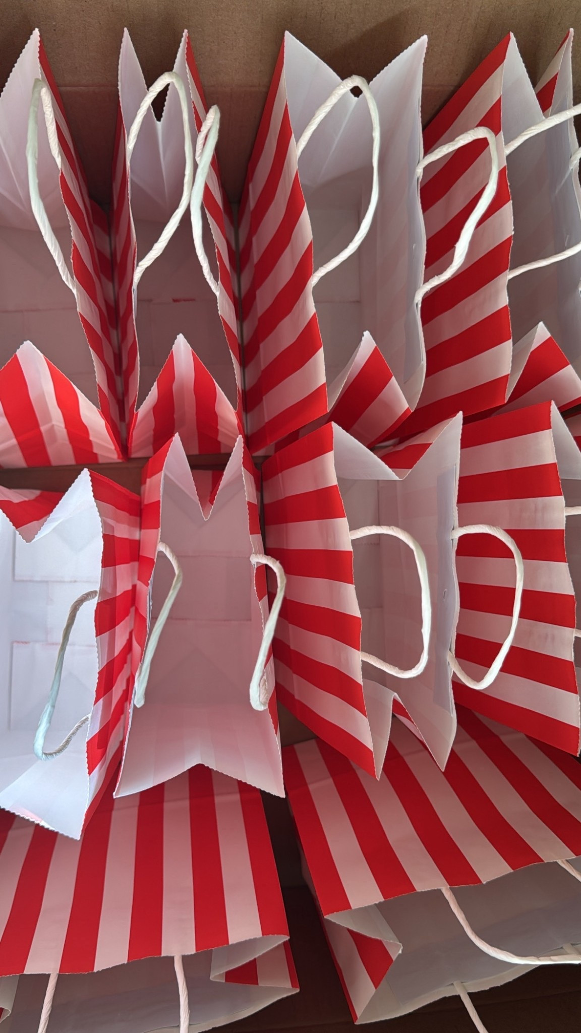 Cute Party Bags 🤍

Loving these bags for party favors they are so versatile and cute for so many themes. 



#LTKParties #LTKU #LTKKids