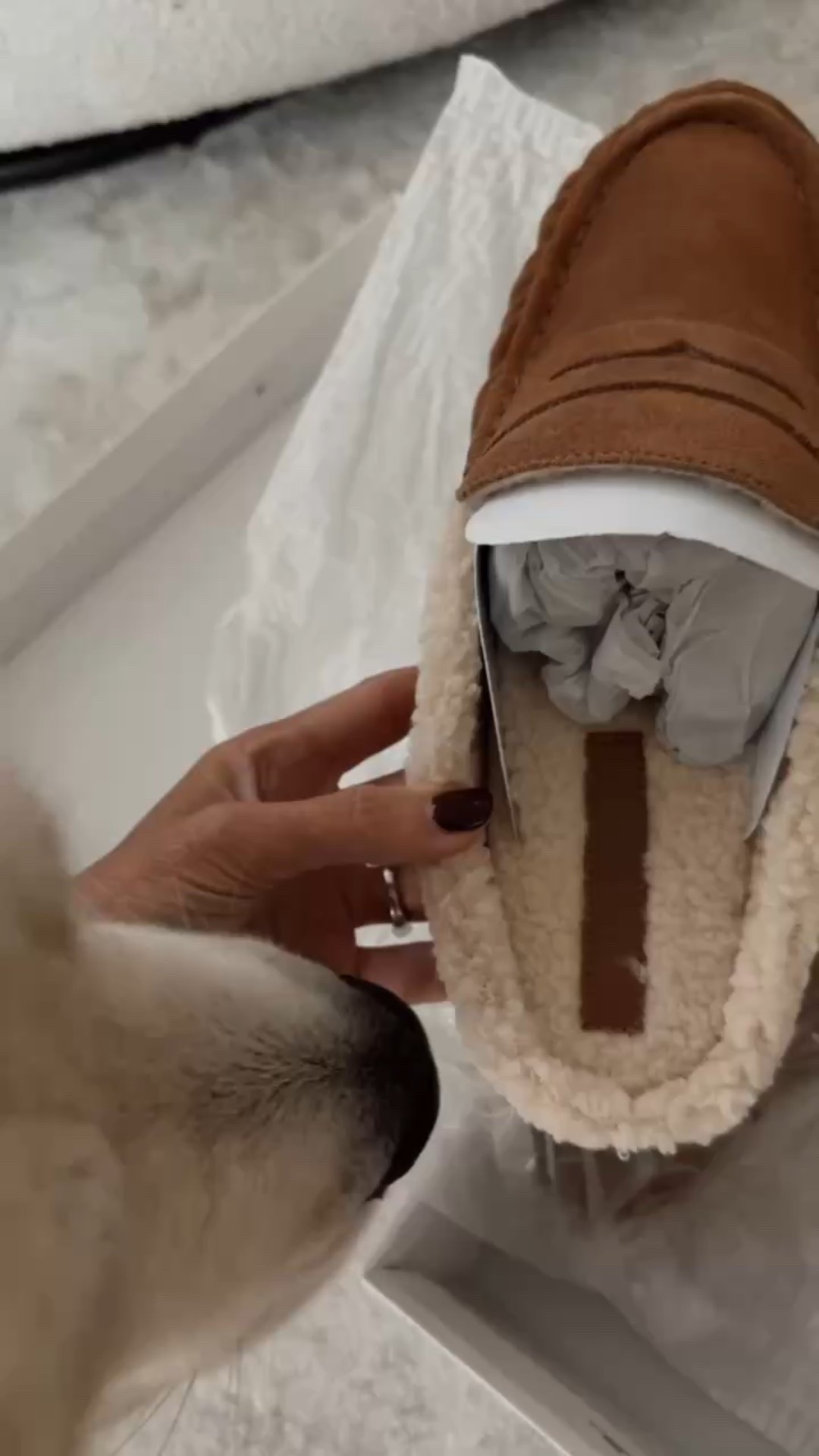 All items are pre inspected by Deuce and Luna ❤️🐶 these Loafers are so comfortable straight out of the box. I ordered my true size #loafers #giftidea #founditonamazon #stylinbyaylin #aylin

#LTKHoliday #LTKSeasonal #LTKGiftGuide