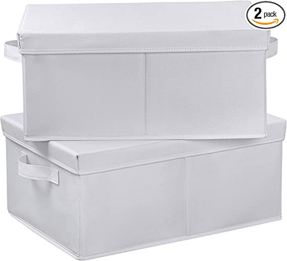 HOONEX Storage Bins with Lids for Organizing, Pack of 2, Storage Boxes with 2 Carrying Handles an... | Amazon (US)