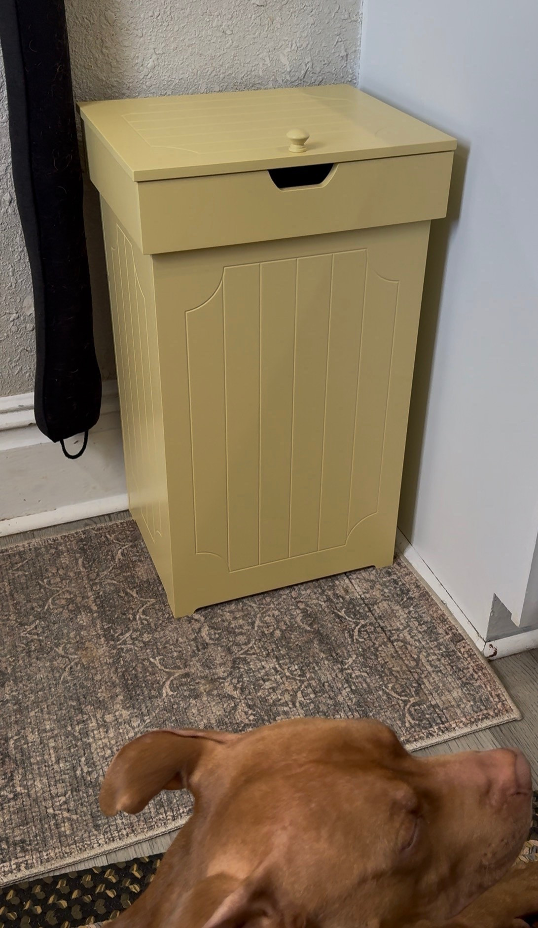 Farmhouse Trash Can 🪿🌾

#LTKU #LTKmomlife #LTKHome