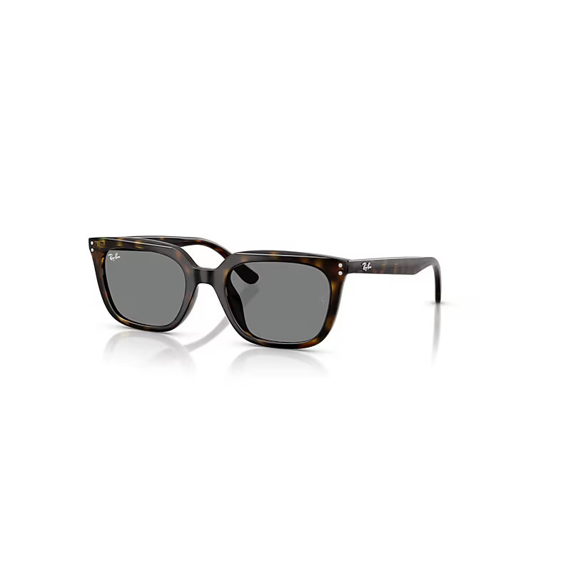 Ray-Ban RB4439D Sonnenbrillen Havana Fassung Grau Glas 54-21 | Ray-Ban (EU)
