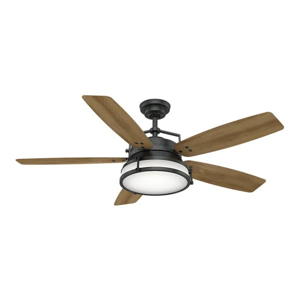 56" Caneel Bay 5 - Blade Outdoor Standard Ceiling Fan with Wall Control and Light Kit Included | Wayfair North America