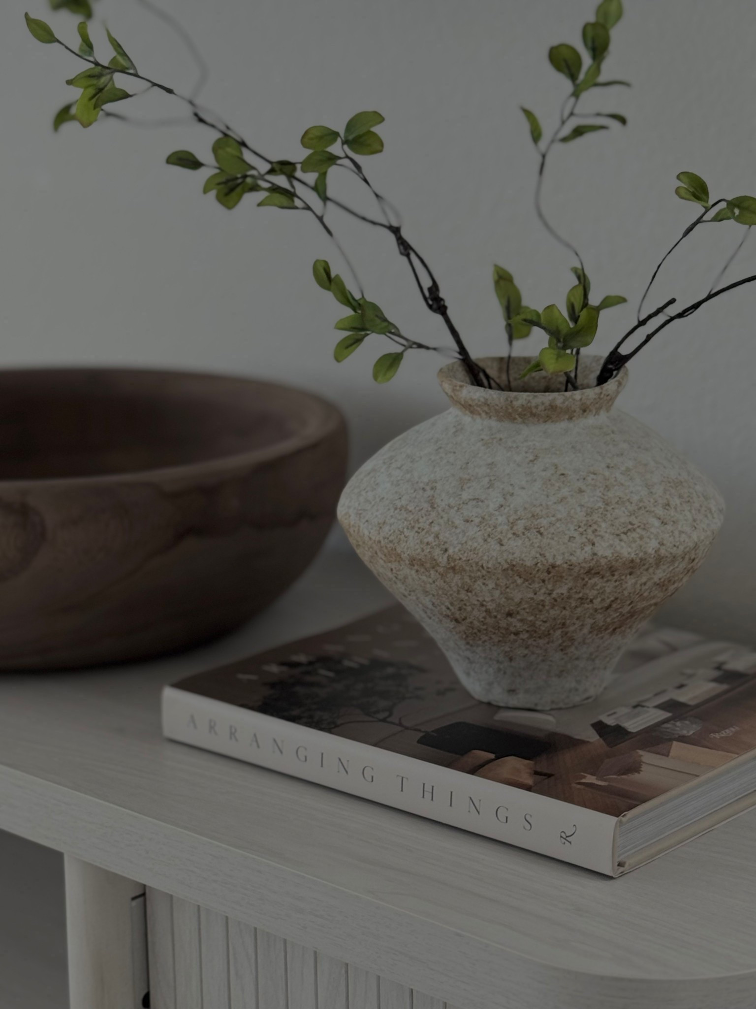 Amazon Home Finds for Fall 
Obsessed with this vase and realistic stems! Also love the tone of this Arranging Things coffee table decor book🤎



#LTKHome #LTKSeasonal #LTKFallSale