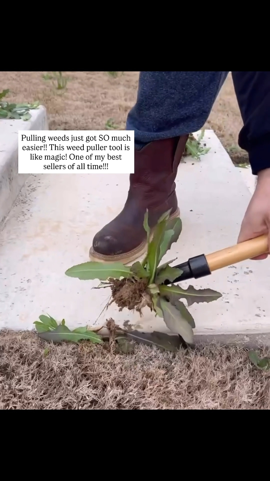This weed puller works like magic!! Essential for spring cleaning!!

#LTKSeasonal #LTKHome
