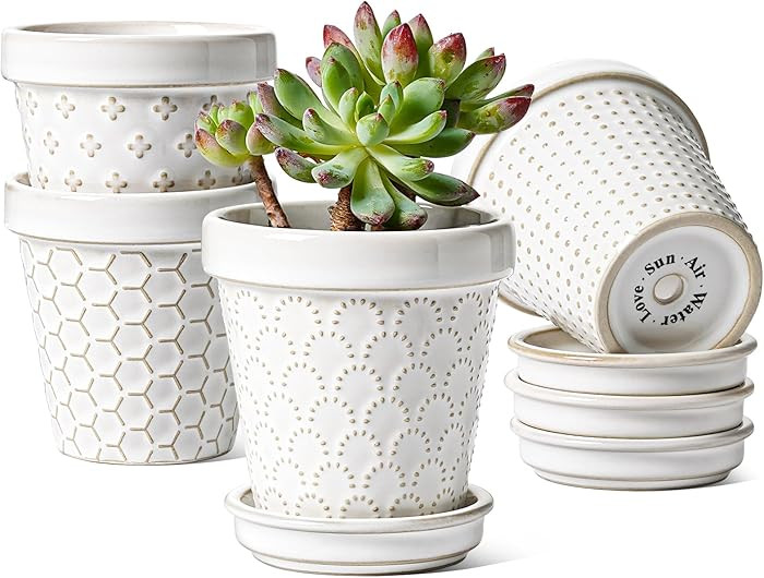 LE TAUCI 3 Inch Mini Succulent Pots - Very Small Ceramic Planter with Saucer, Tiny Embossed Flowe... | Amazon (US)