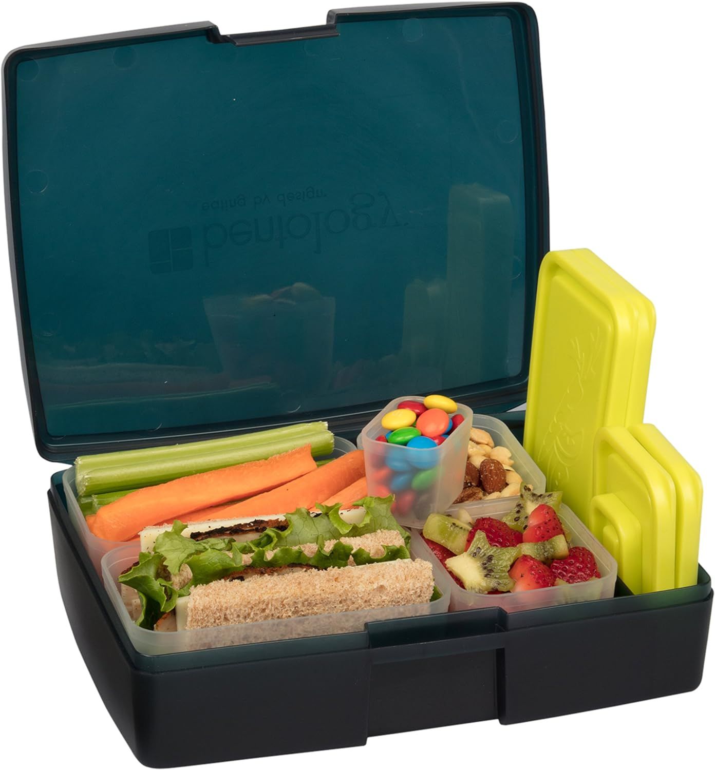 Bentology Bento Lunch Box with 5 Removable Containers – Includes Measurements for Portion Contr... | Amazon (US)