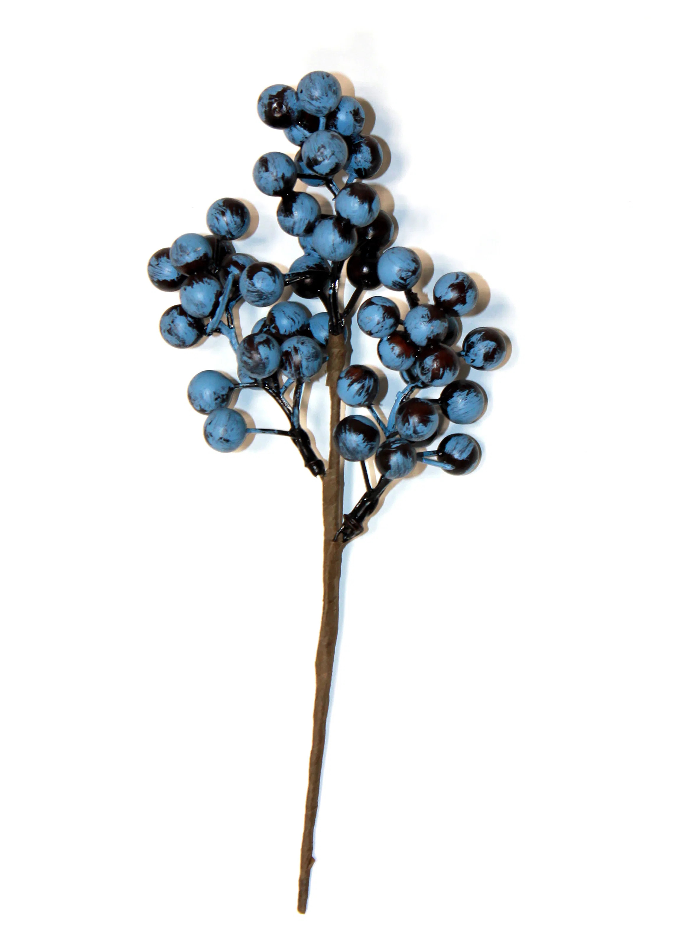 10" Blueberry Pick (Set of 12) | Wayfair North America