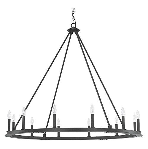 Black Iron 12 Light 48in. Wide Chandelier from the Pearson Collection | Amazon (US)