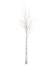 6ft Led Birch Tree On Wooden Base | The Hostess | T.J.Maxx | TJ Maxx