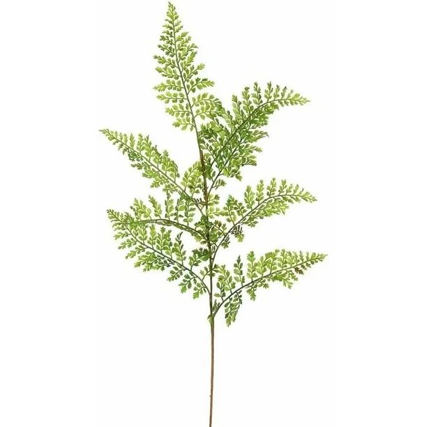 Vickerman 26" Artificial Green Fern Featuring 8 Leaves per Stem (6 Per Pack) - Walmart.com | Walmart (US)