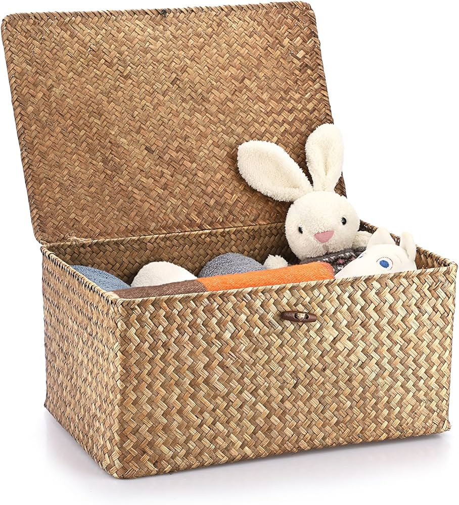 Hipiwe Wicker Shelf Baskets Bin with Lid, Handwoven Seagrass Basket Storage Bins Rectangular Hous... | Amazon (US)