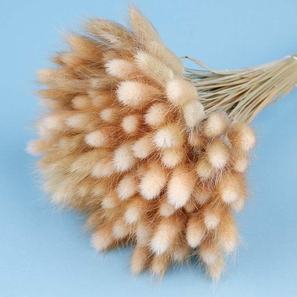 Natural Dried Bunny Tail Grass, 120pcs Lagurus Ovatus Dried Flowers for Pampas Grass Bouquet, Boh... | Amazon (US)