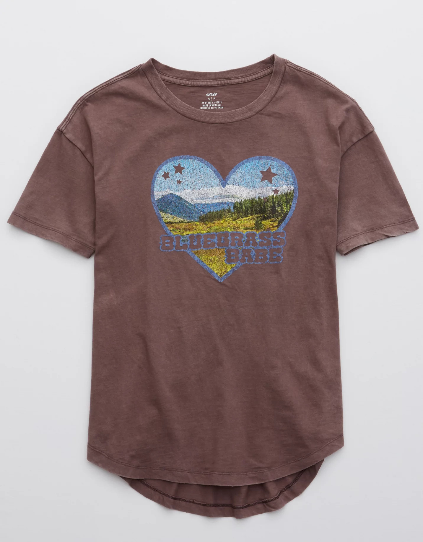 Aerie Distressed Boyfriend T-Shirt | American Eagle Outfitters (US & CA)