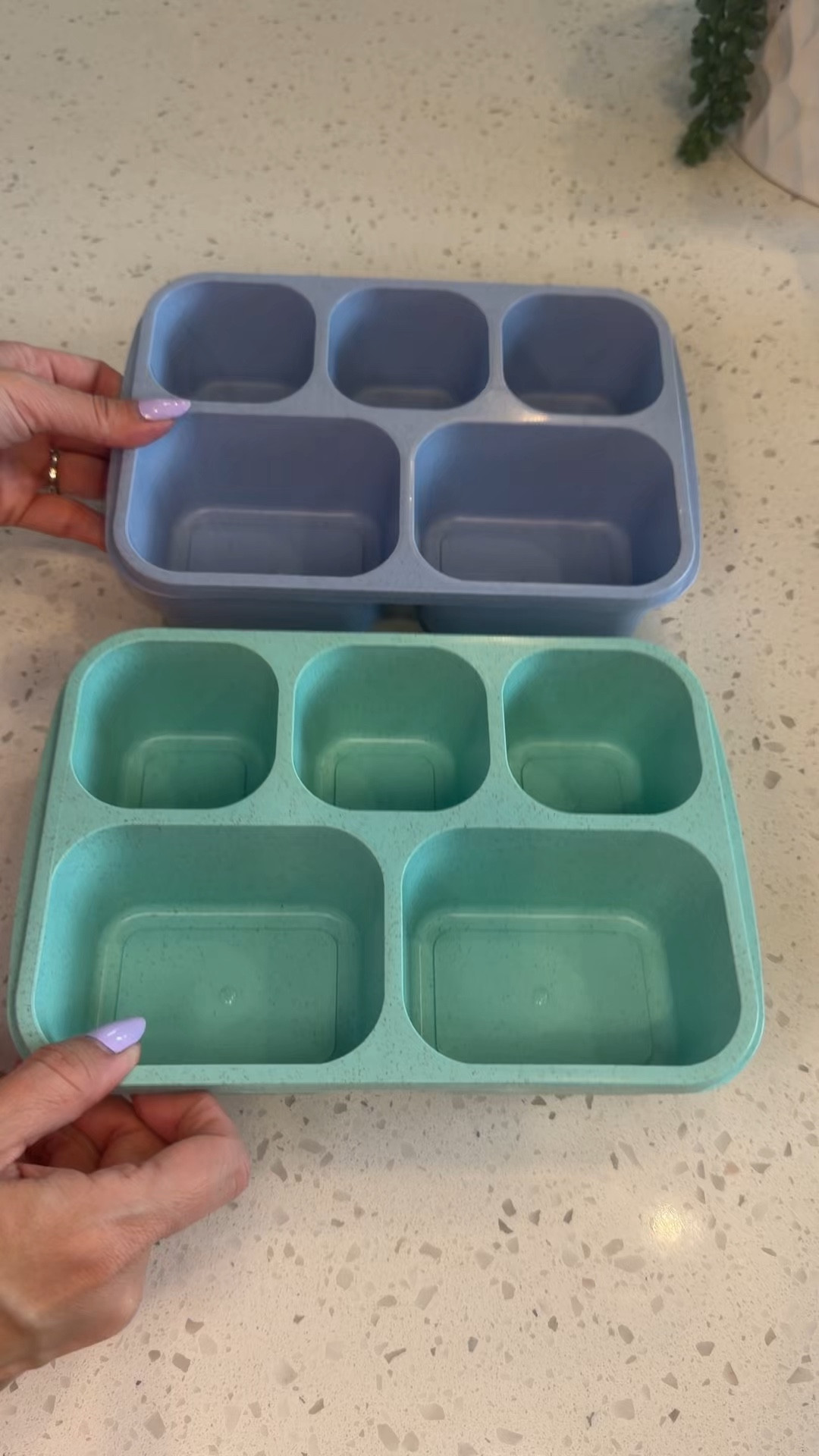 Snack trays, they come with lids, so they are good for on the go too! 

#LTKBaby #LTKKids #LTKmomlife