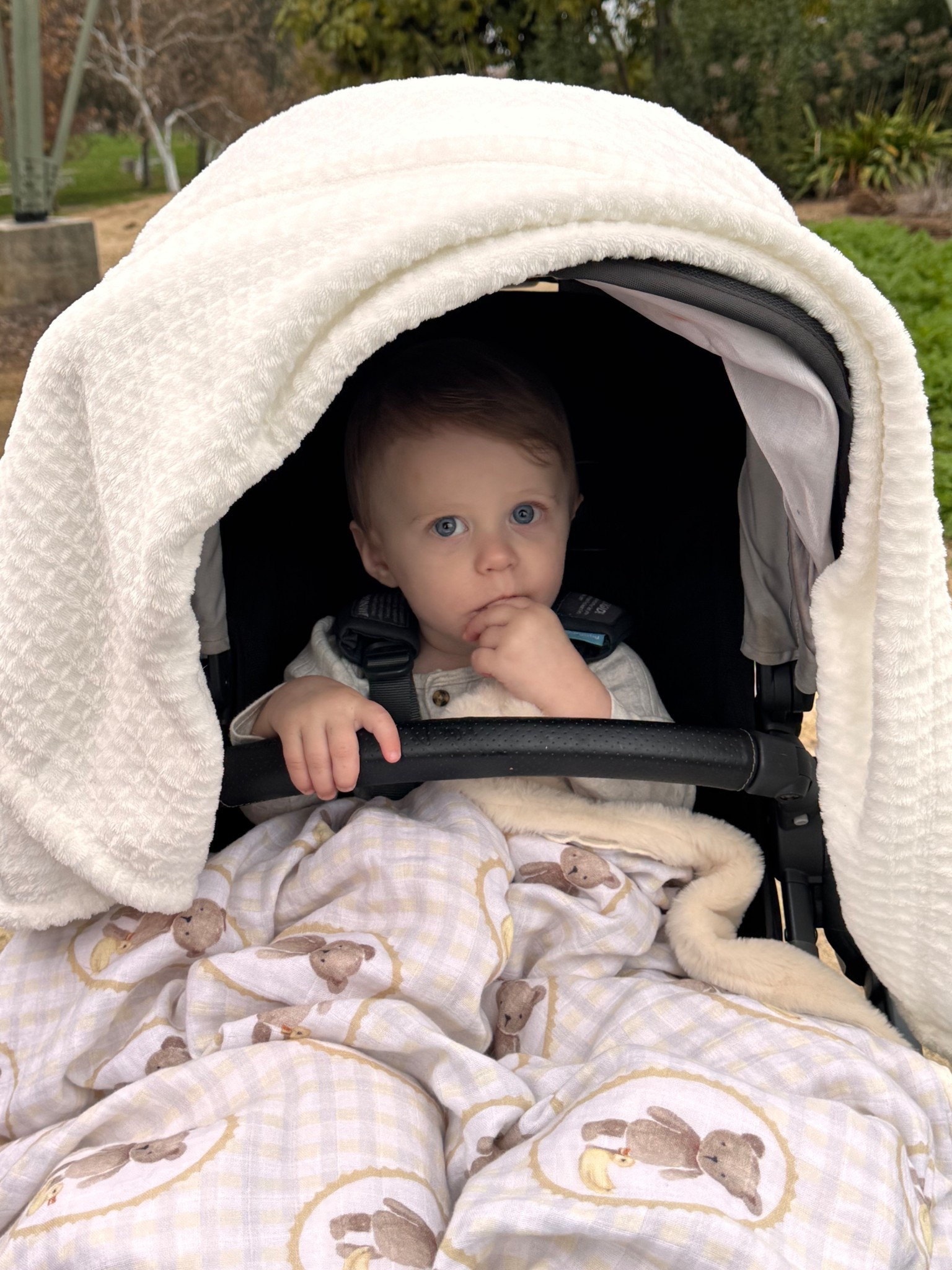 Baby Stroller 🖤





#LTKTravel #LTKBump #LTKBaby