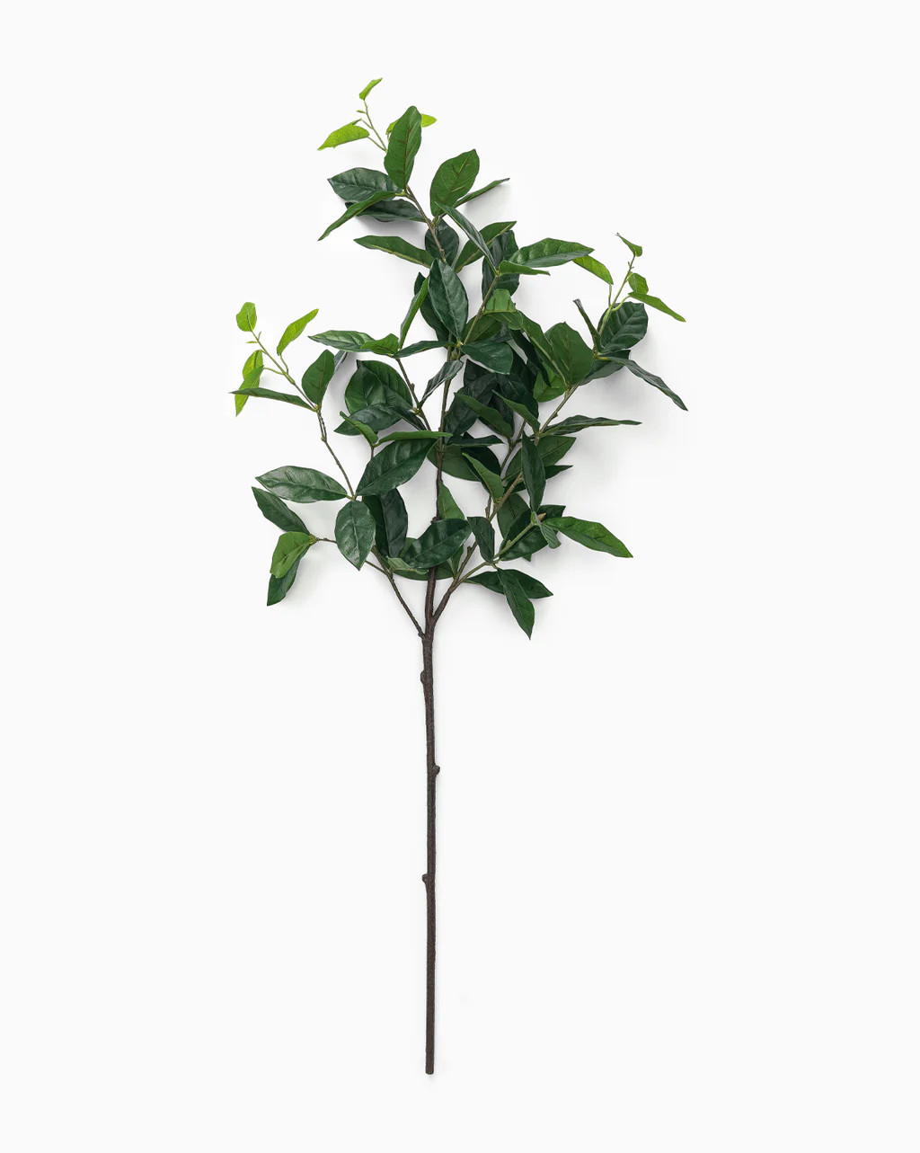 Faux Laurel Leaf Branch | McGee & Co.