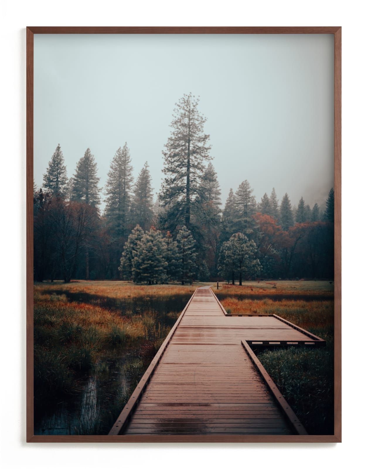 "Misty" - Photography Limited Edition Art Print by Tania Medeiros. | Minted