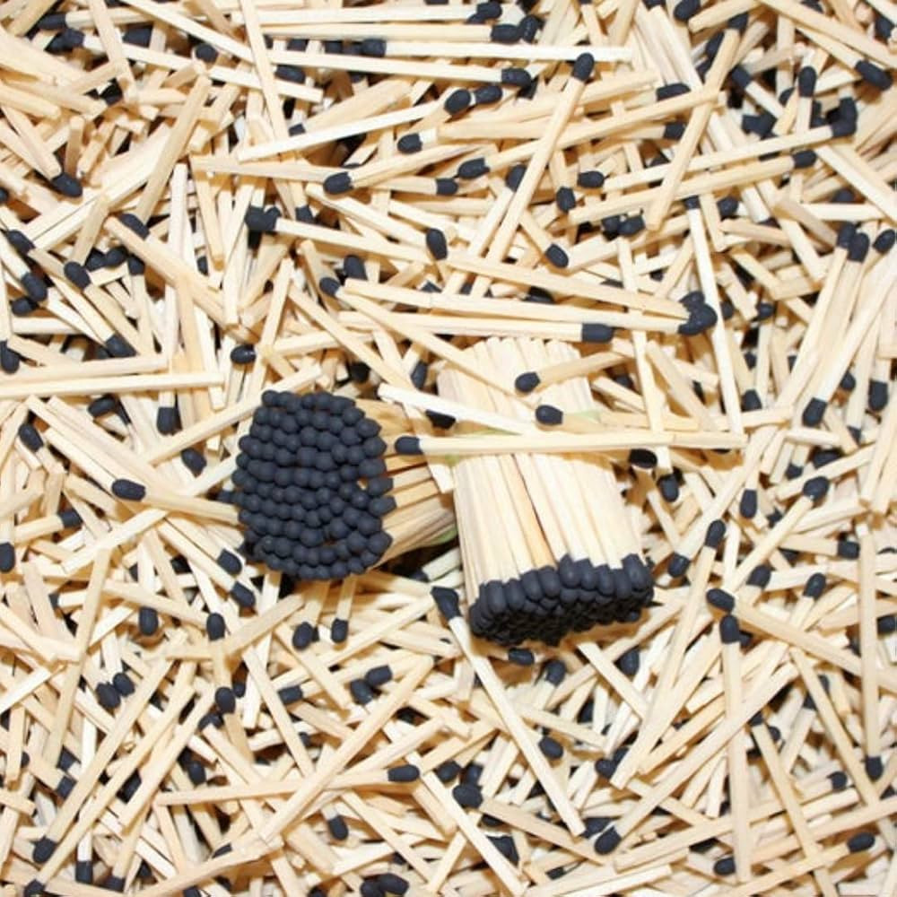River Birch Black Tip Decorative Matches | 100+ Small Premium Wooden Safety Matches | Replacement... | Amazon (US)