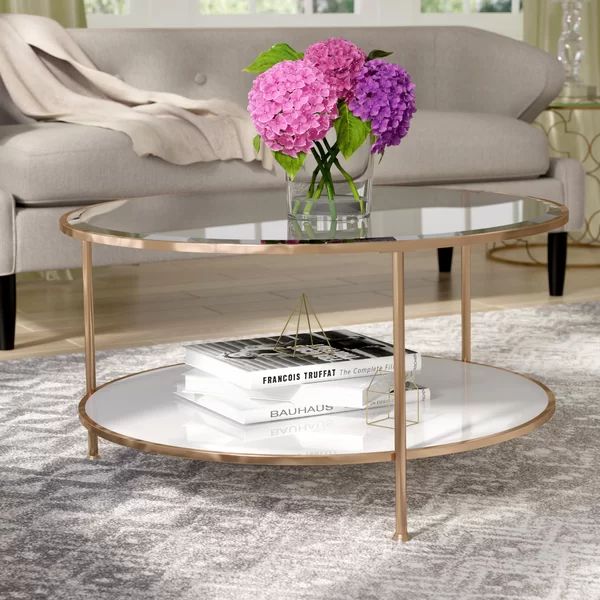 Schroeders 3 Legs Coffee Table with Storage | Wayfair North America