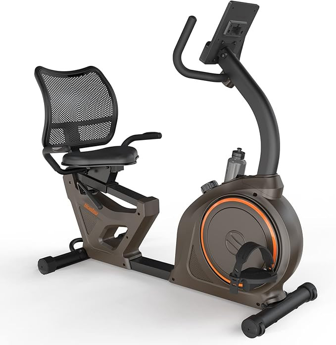 Niceday Indoor Recumbent Exercise Bike Workout Equipment for Home Gym 400LBS Weight Capacity | Amazon (US)