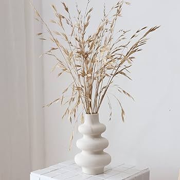 PEAUARL Circle Ceramic Vase, Pampas Grass Vase，Modern Dried Flowers Vase, Decorative Vase for C... | Amazon (US)