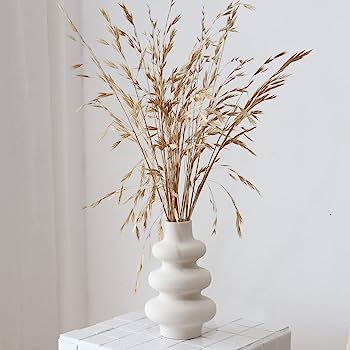PEAUARL Circle Ceramic Vase, Pampas Grass Vase，Modern Dried Flowers Vase, Decorative Vase for C... | Amazon (US)