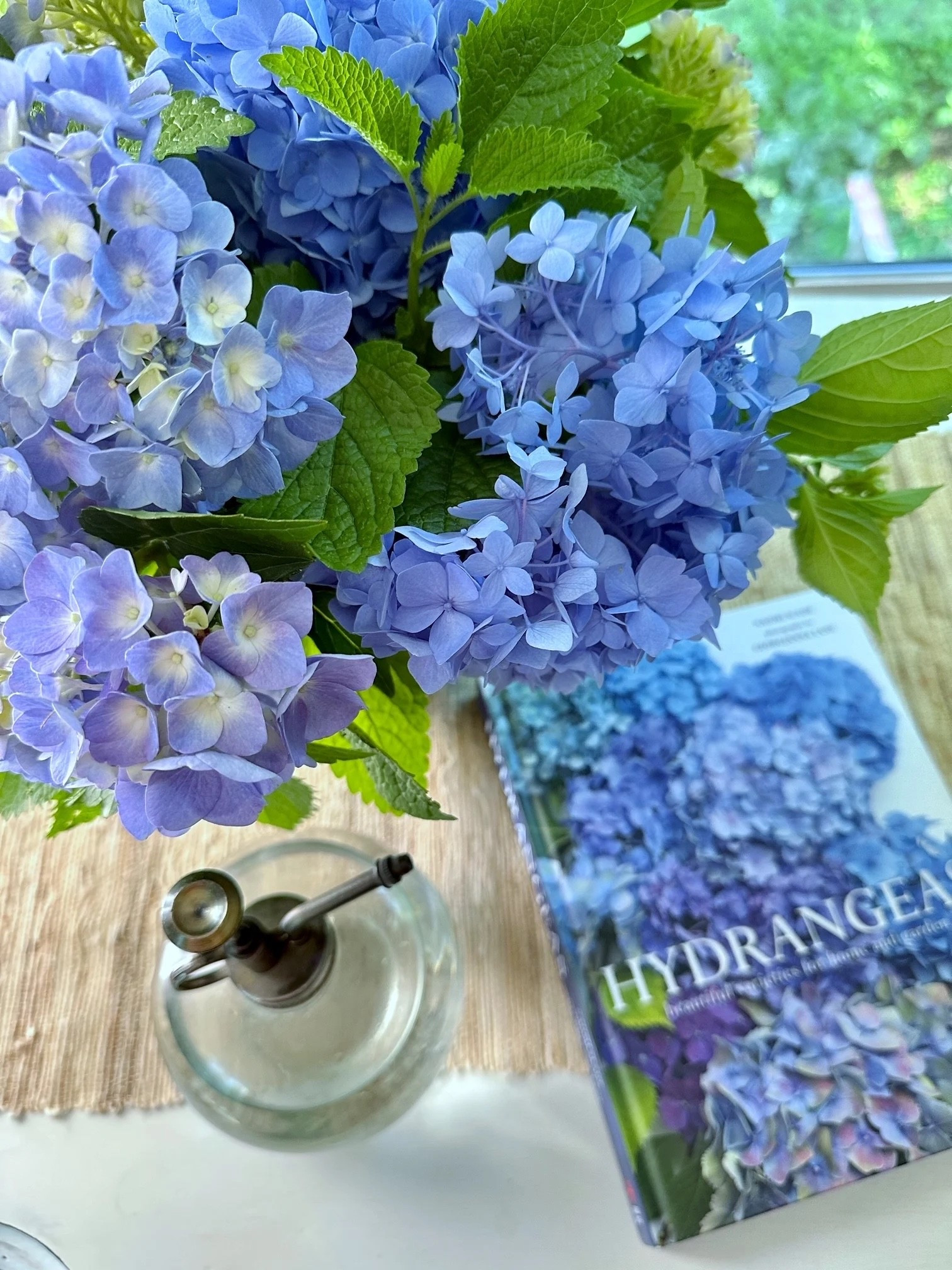 Stunning hydrangea book every gardener should have. A beautiful book for someone who loves those beautiful summer blooms. #coffeetablebooks #booksindecor

#LTKHome #LTKWedding