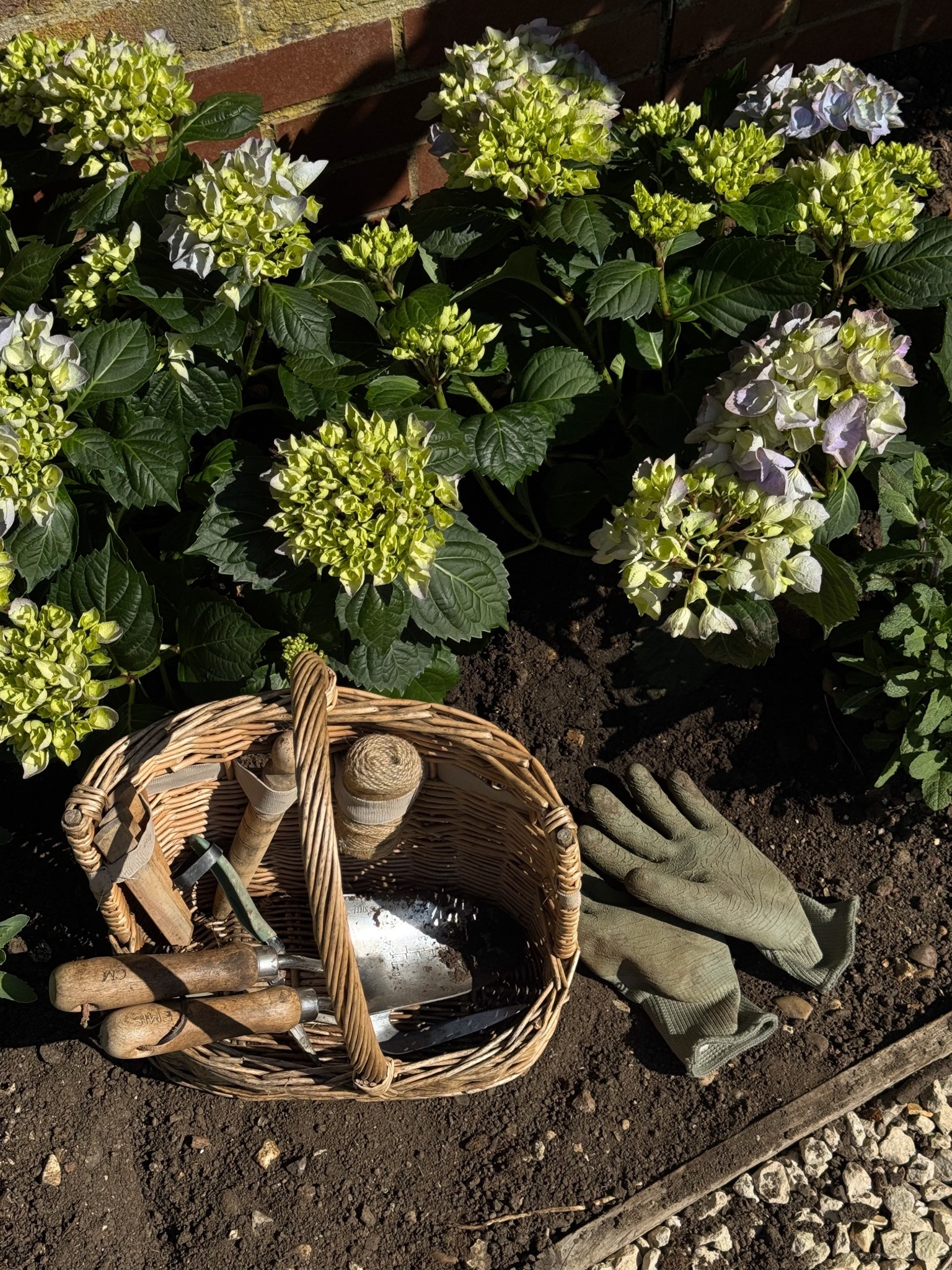 Found my gardening basket available @Wayfair 

Ad

#LTKspring #LTKhome
