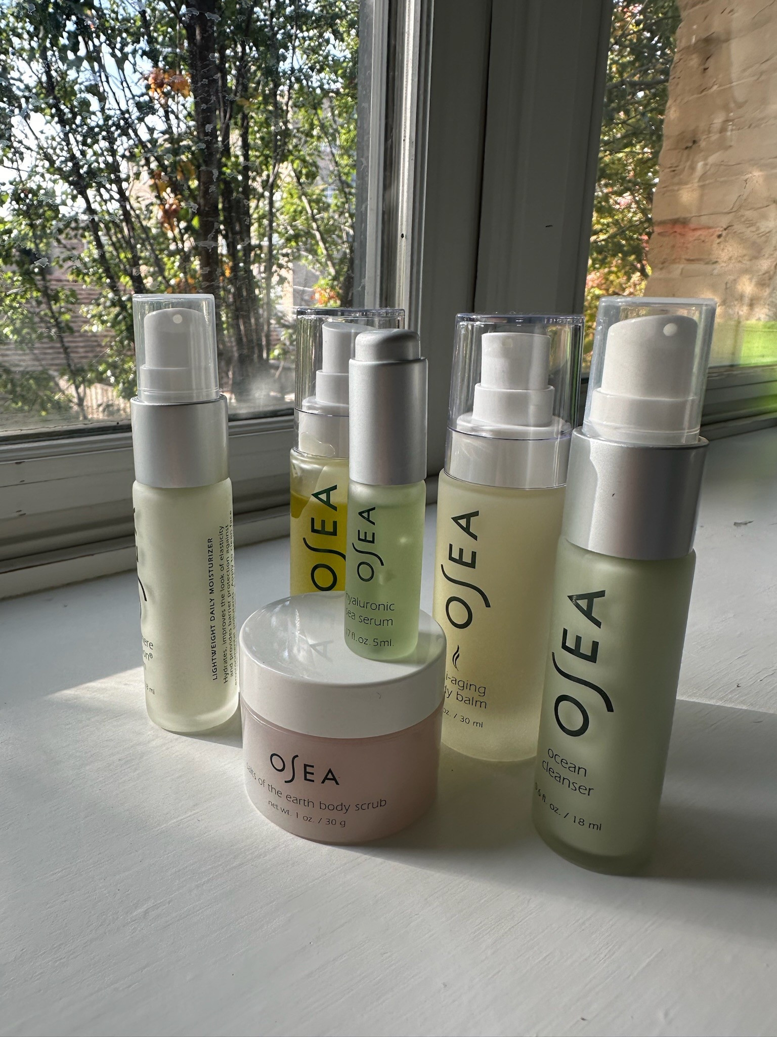 I tried osea’s products a few months ago and absolutely love this kit for travel!

osea | beauty | travel kit