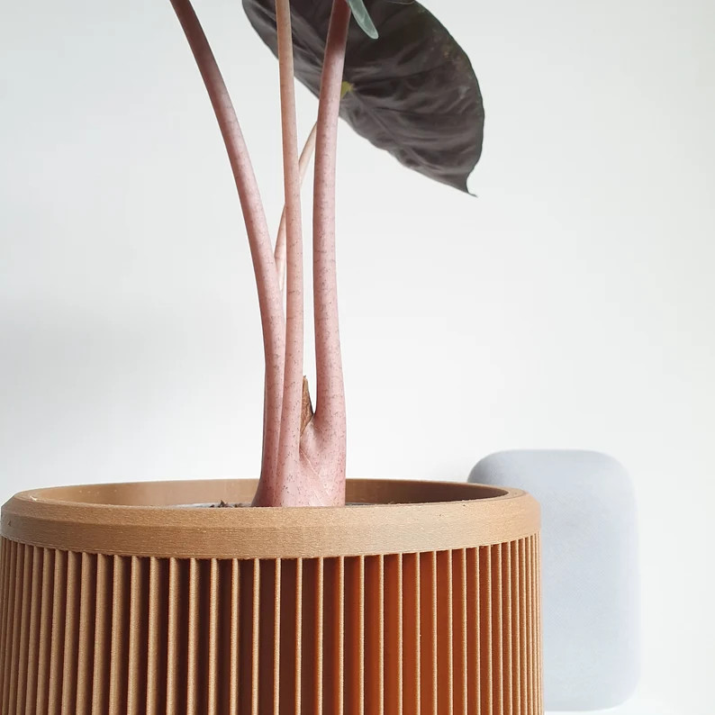 Large Indoor Planter  Dawn  Pine | Etsy | Etsy (US)