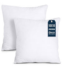 Utopia Bedding 18x18 Pillow Inserts, Set of 2, White – Indoor Decorative Throw Pillows for Bed,... | Amazon (US)