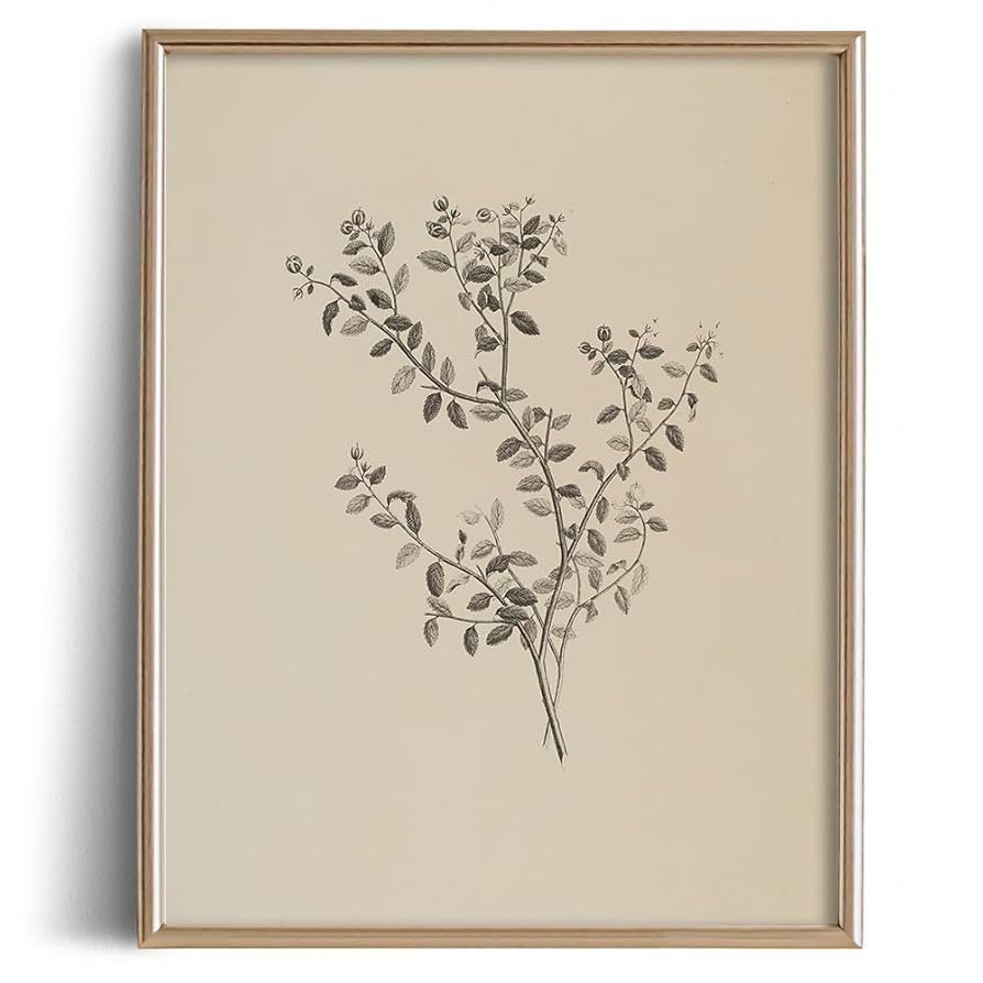 Leave Plant Botanical Drawing Print Poster - Flower Floral Etching Rustic Picture - Vintage Farmh... | Amazon (US)