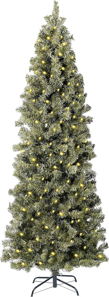 Visit the Annecy Store | Amazon (US)