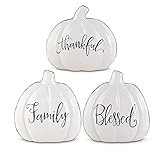 K&K Interiors 42086A Assorted Glossy White Ceramic Pumpkins with Black Script (3 Styles) | Amazon (US)