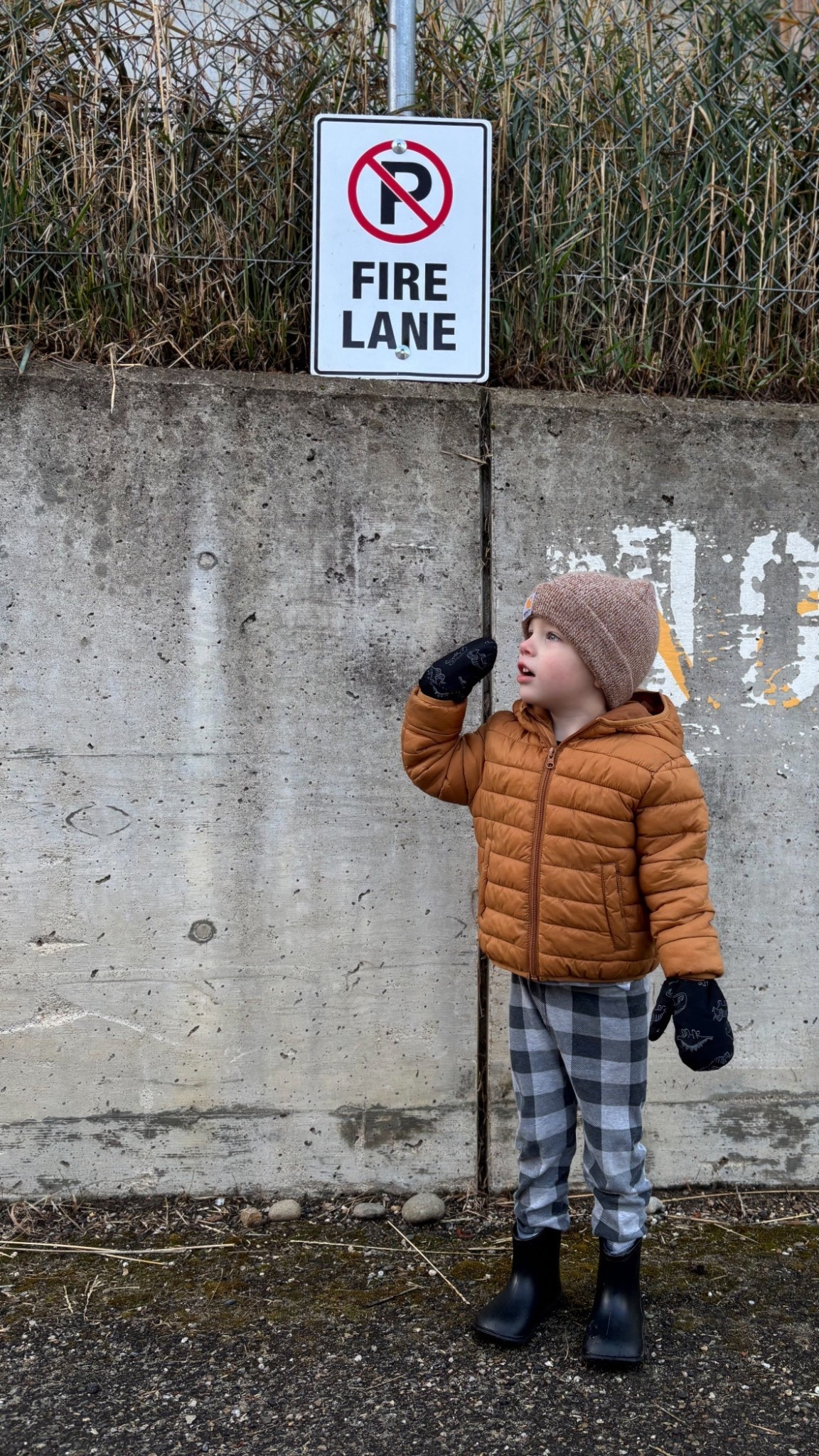 S T Y L E / toddler boy outerwear

+ carhartt beanie
+ puffer jacket
+ dino mittens
+ rubber boots

Amazon Canada | Walmart Canada

#LTKstyletip #LTKcanada #LTKkids