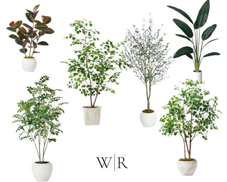 Artificial Trees and Plants on sale! Olive Tree, ficus tree, rubber tree and palm tree. 

#LTKsalealert #LTKGiftGuide #LTKhome