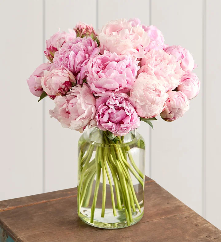 Precious Peony Bouquet | 1800flowers.com