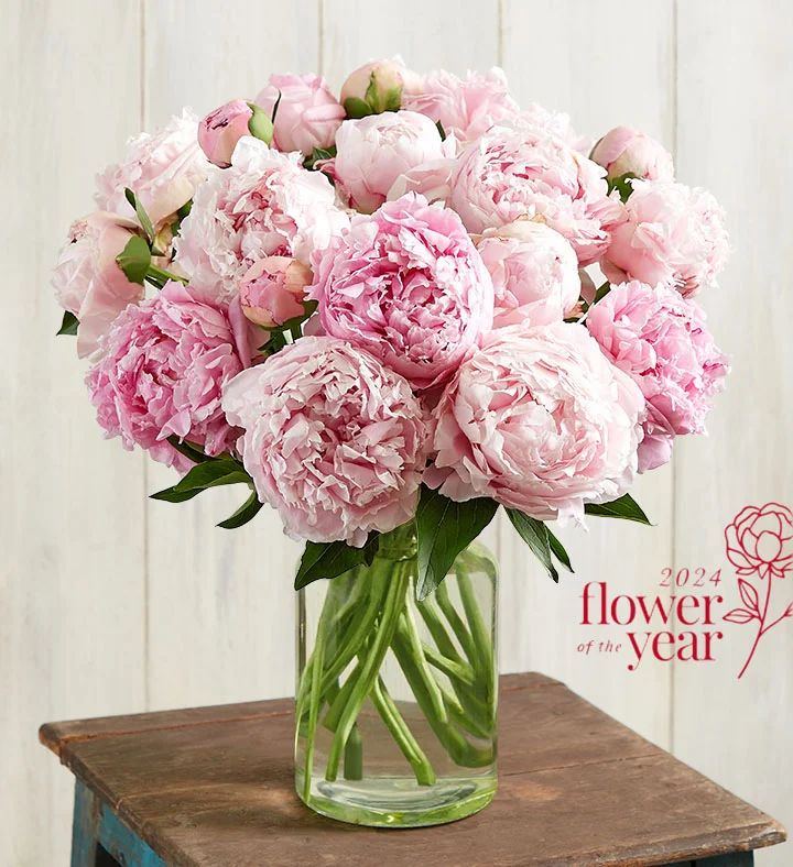 Precious Peony Bouquet | 1800flowers.com
