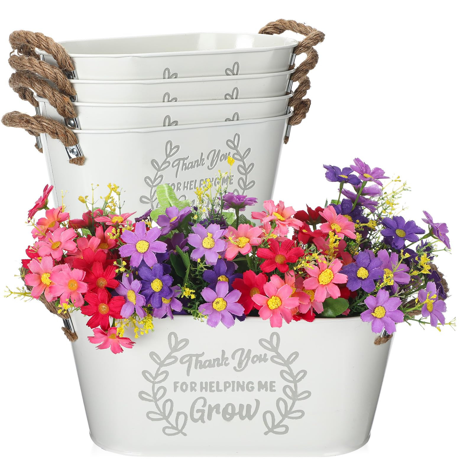 Brand: RimCereal | Amazon (US)