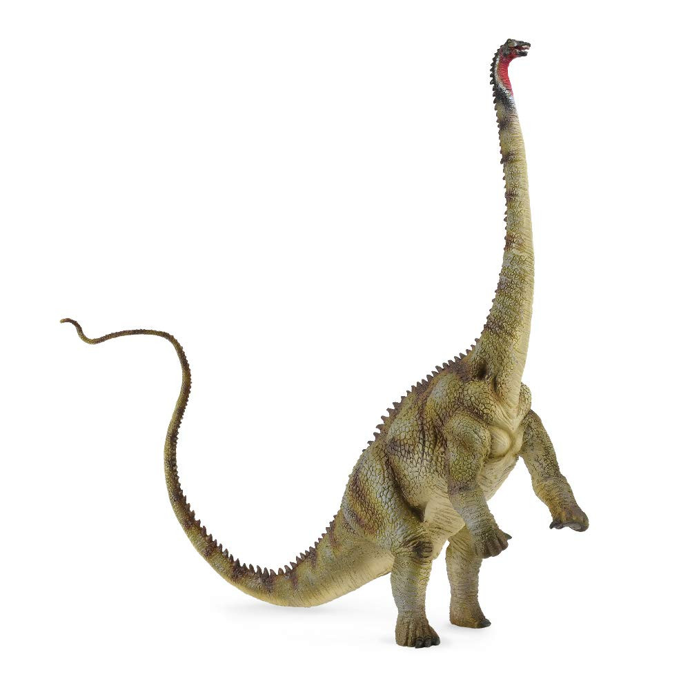 CollectA Diplodocus Dinosaur Toy Dinosaur Figure - Authentic Hand Painted & Paleontologist Approv... | Amazon (US)